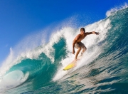 开云体育中国-范戴克铁血封王，突尼斯绝境逆袭，2026世界杯B组关键战改写非洲足球版图