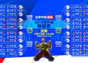 开云体育官方网站-冰与火的救赎，当德约科维奇在加拿大之夜逆转莱巴金娜
